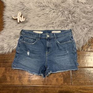 Anthropologie Pilcro and the Letterpress Slim Boyfriend Denim Shorts Size 30